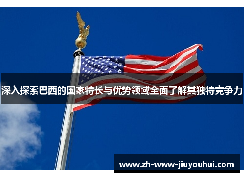 深入探索巴西的国家特长与优势领域全面了解其独特竞争力 深入探索巴西的国家特长与优势领域全面了解其独特竞争力